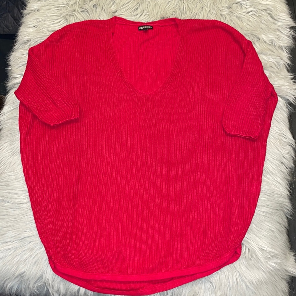 Express Women’s V Neck Long Sweater
